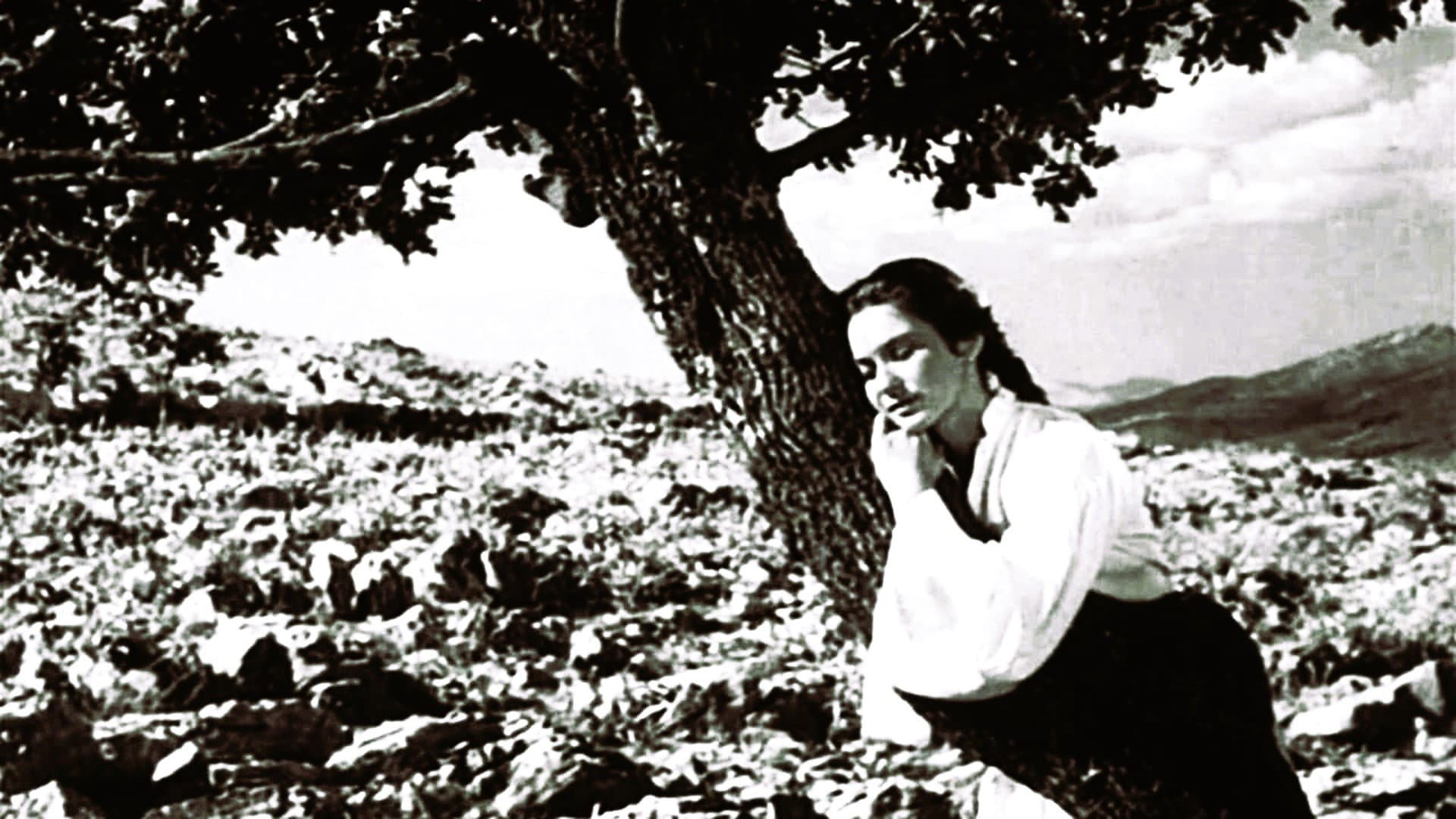 Andro Marjanović