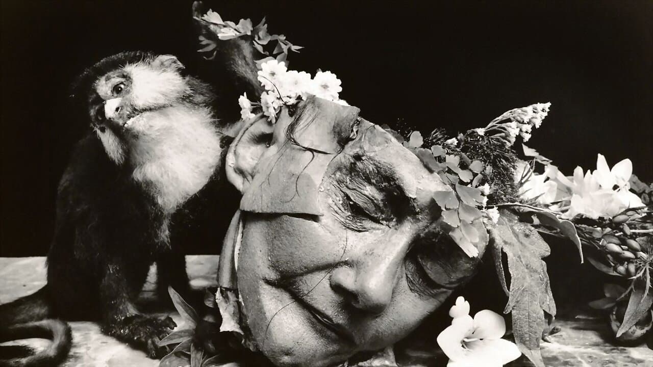 Joel-Peter Witkin