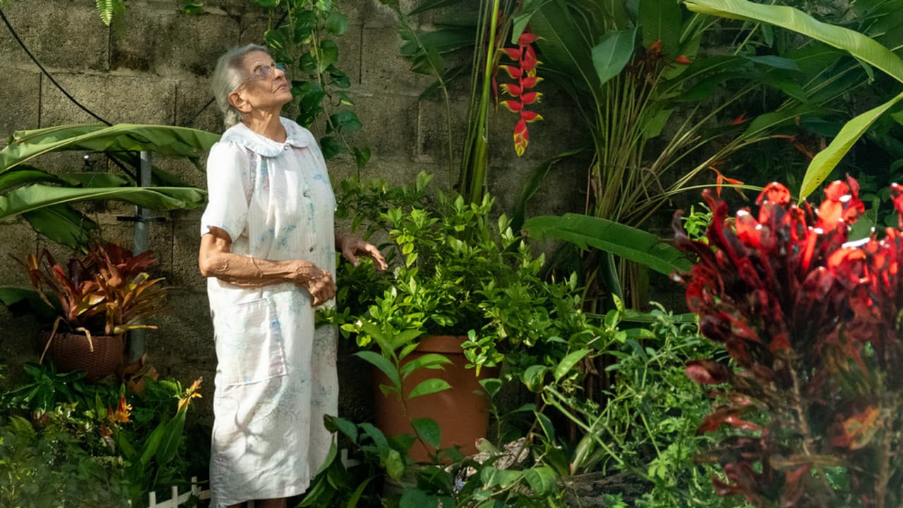 Luz María Rondón
