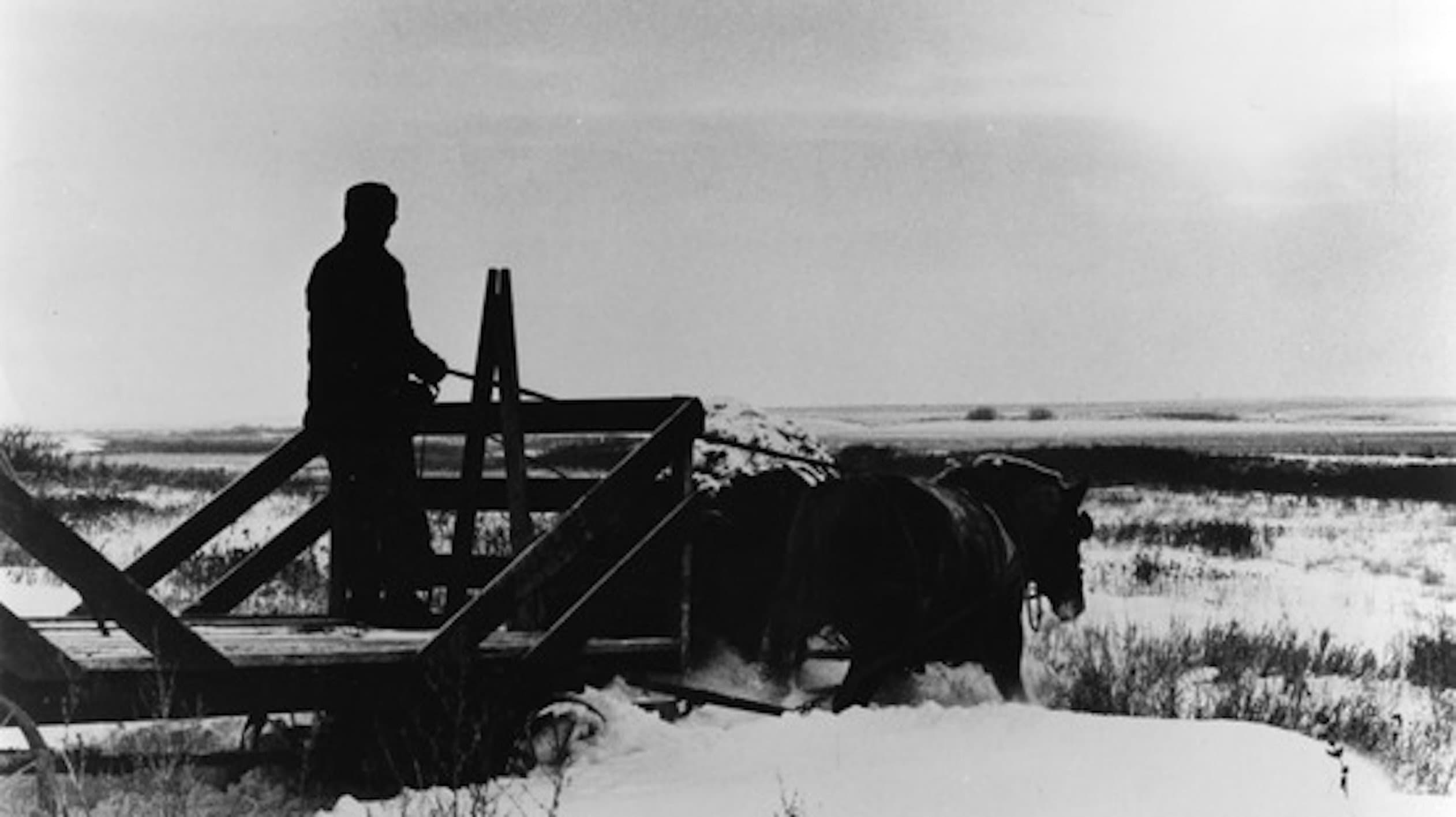 Henry Martinson