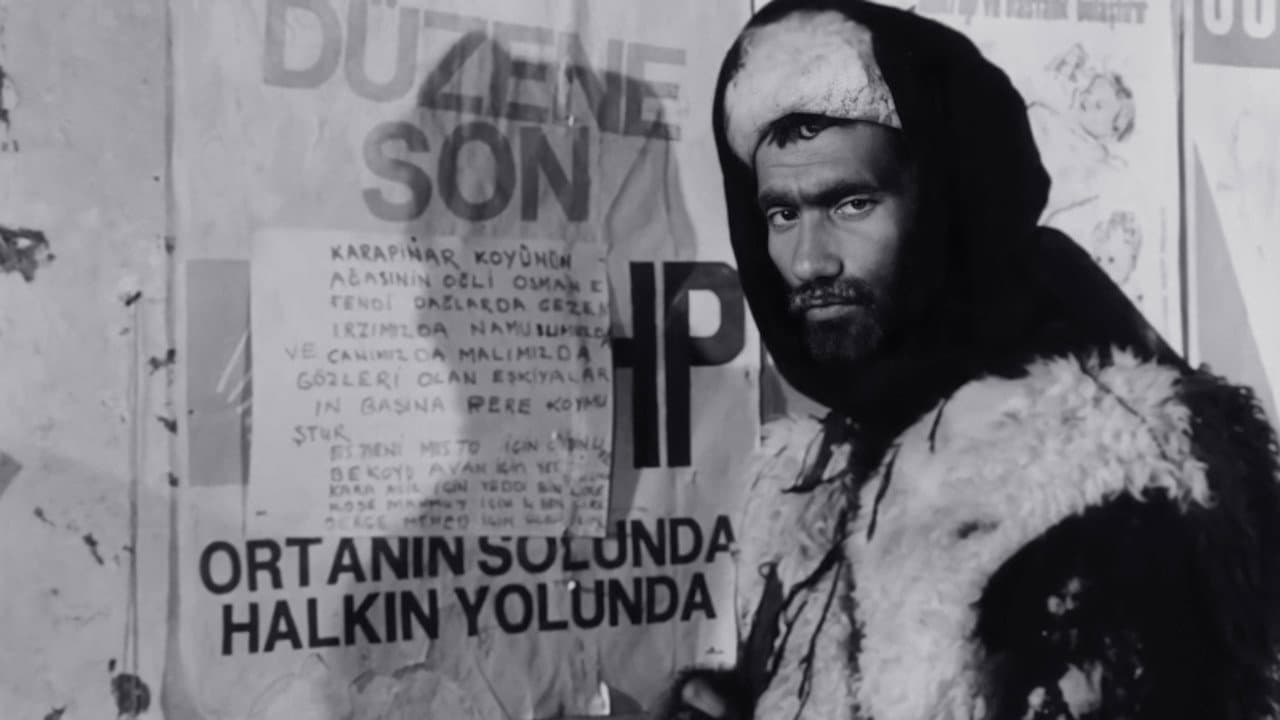 Savaş Eşici