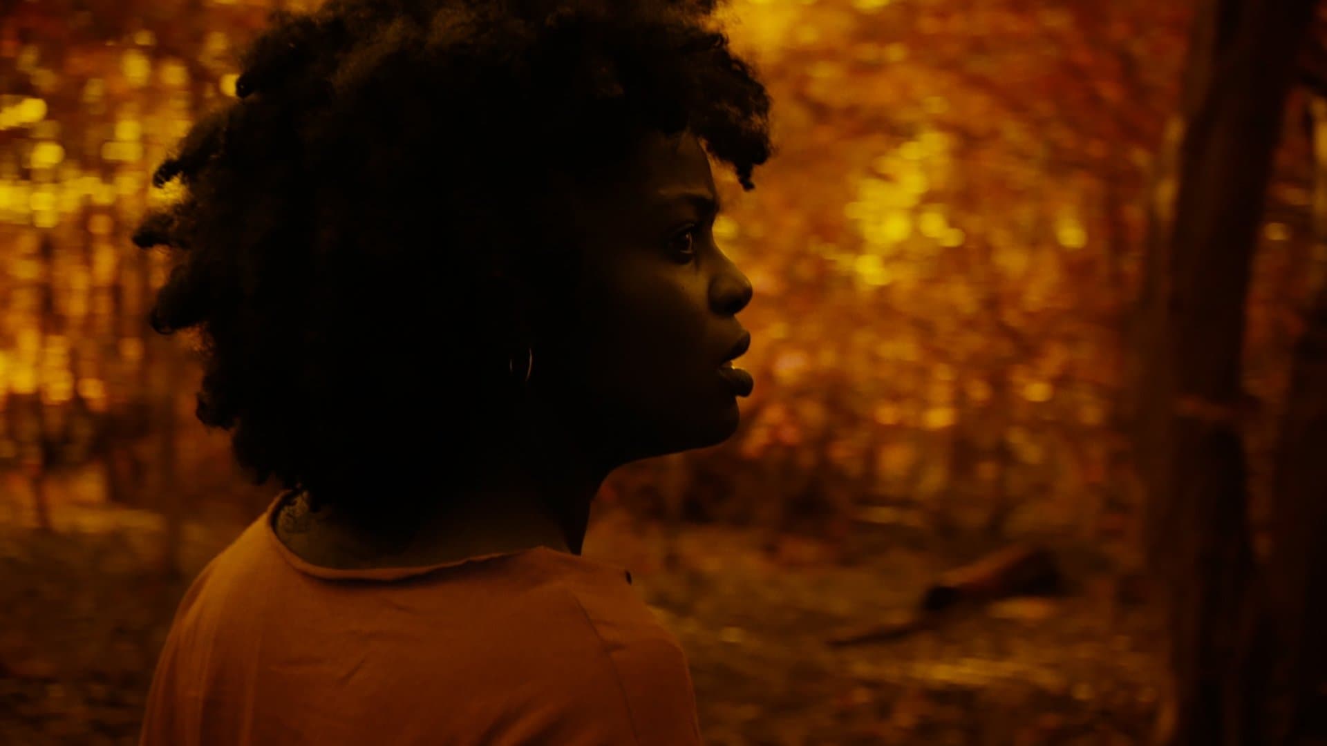 Lola Ogunyemi