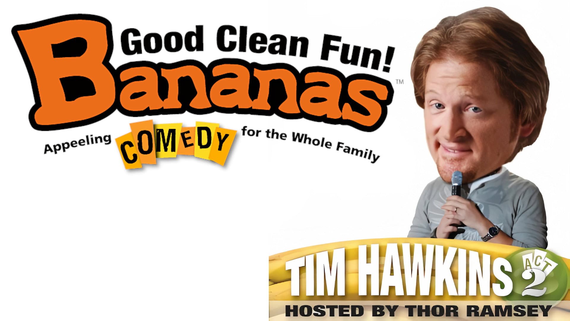 Tim Hawkins