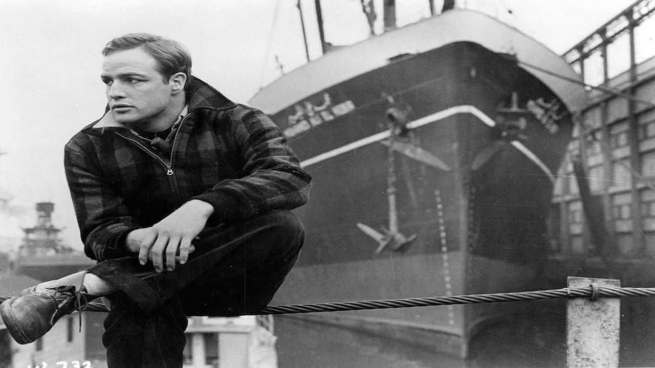 Andrew Bergman