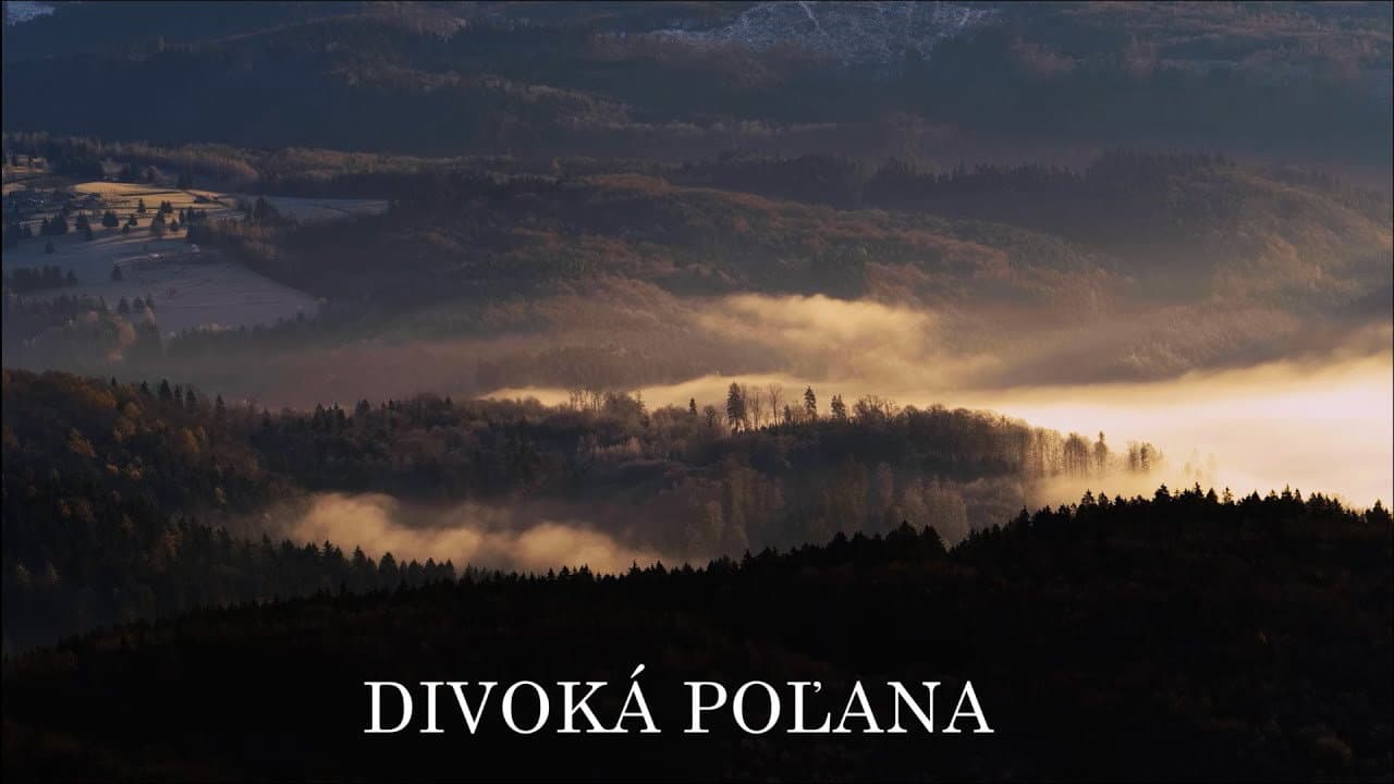 Lucia Vráblicová