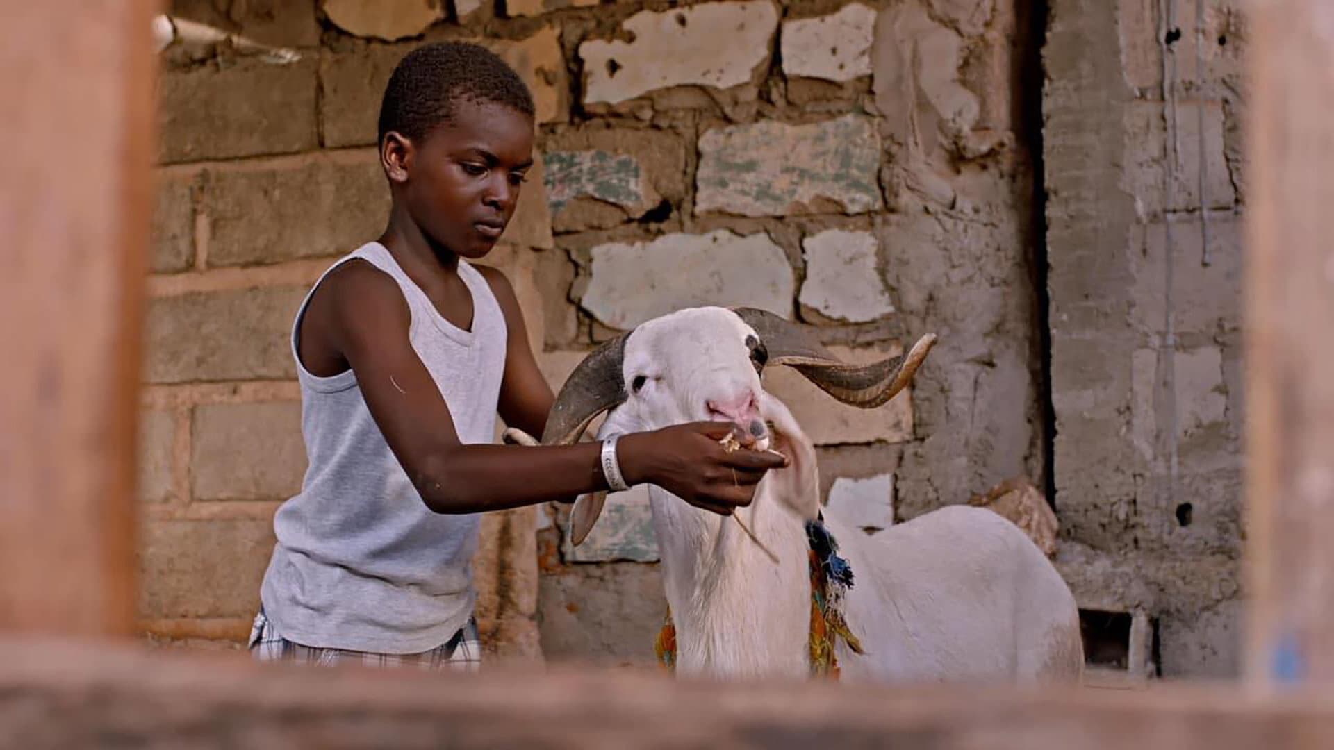 Amadou Diop