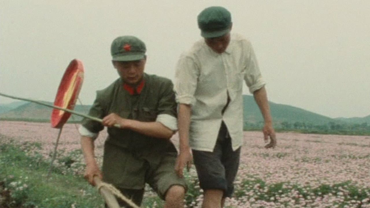 Joseph Losey