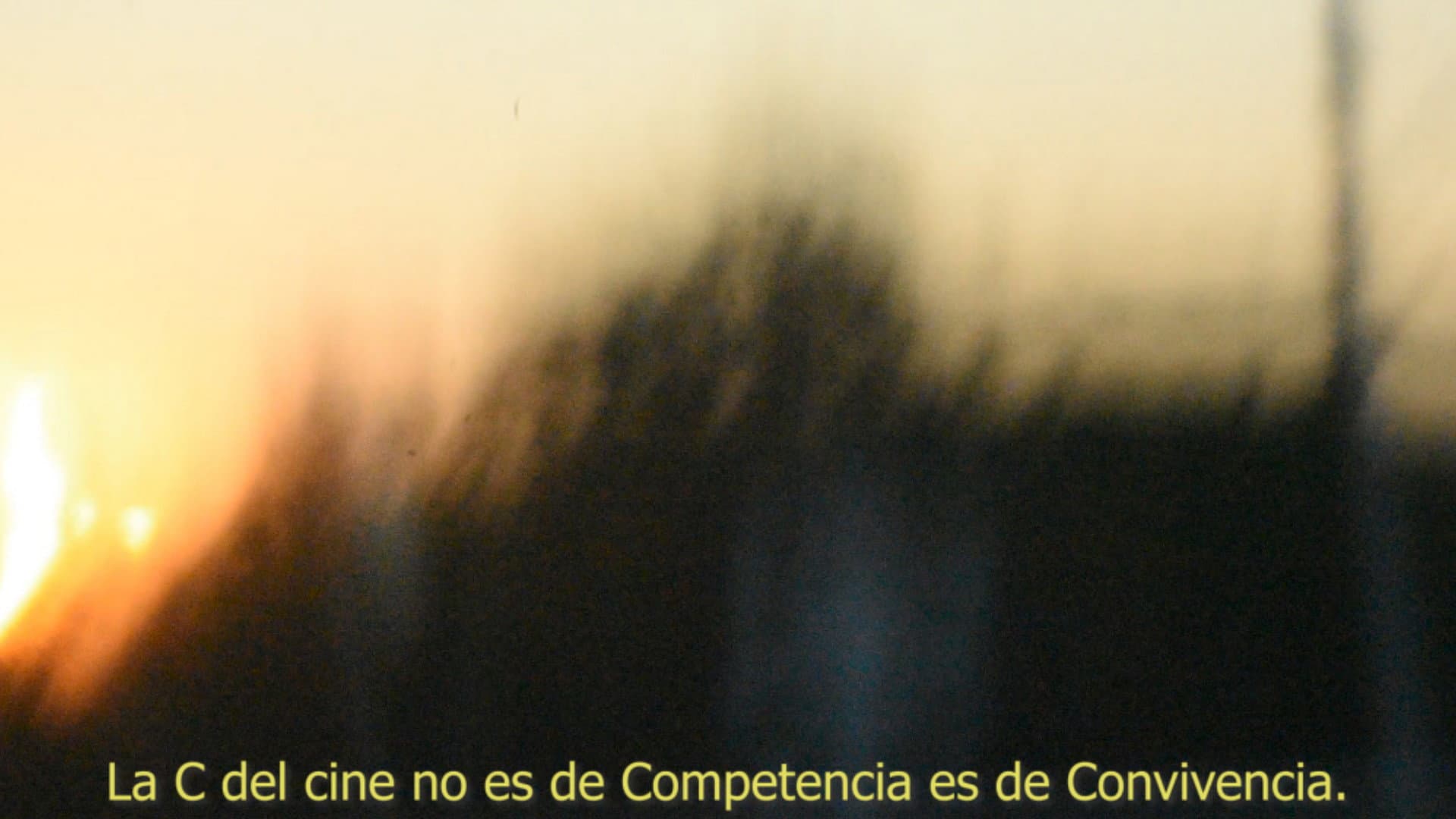 Tona Ley