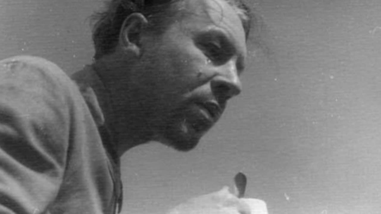 M. Vinogradov
