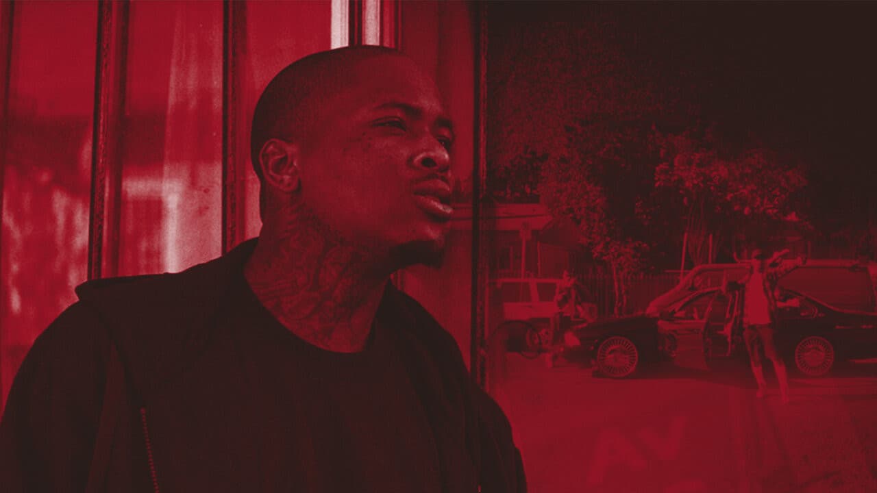 YG