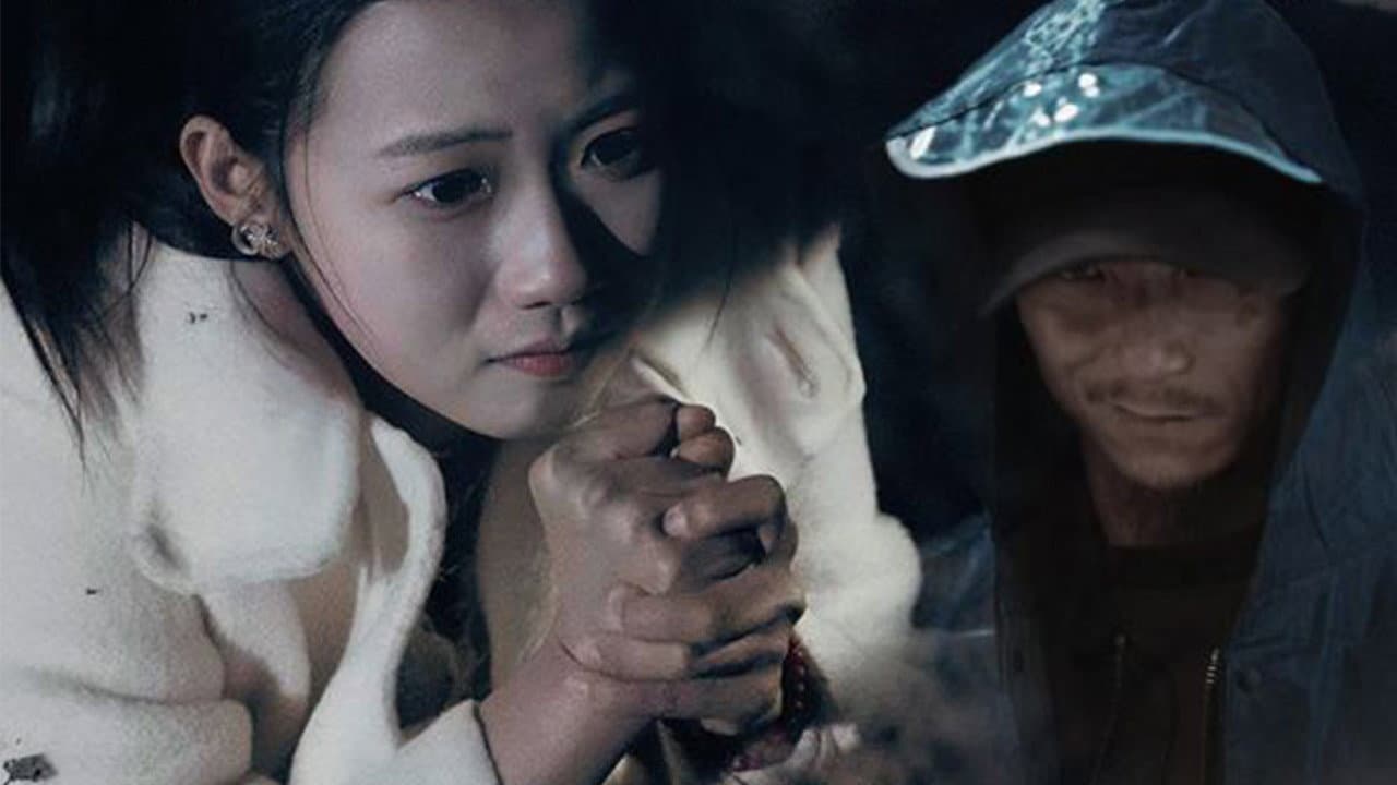 Wang Xin