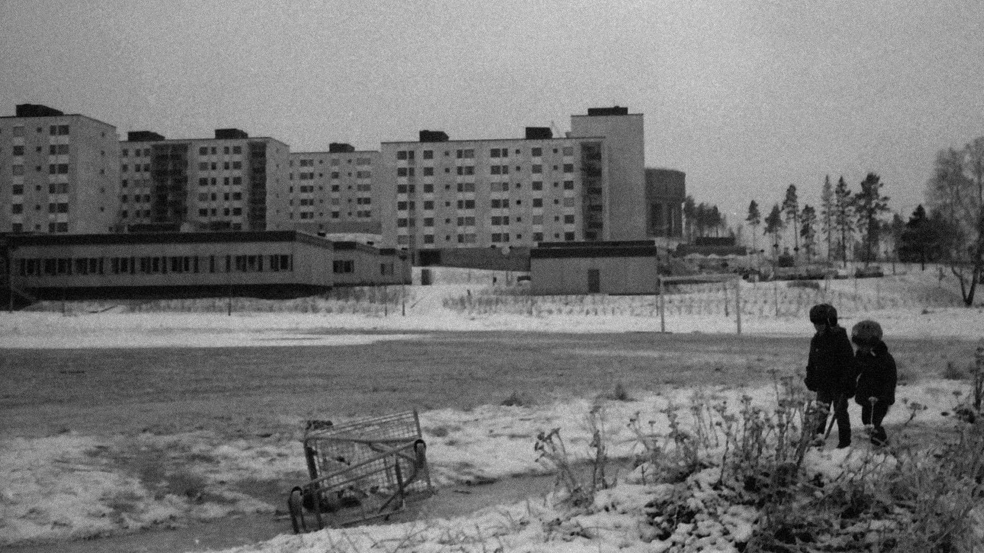 Hjalmar Mehr