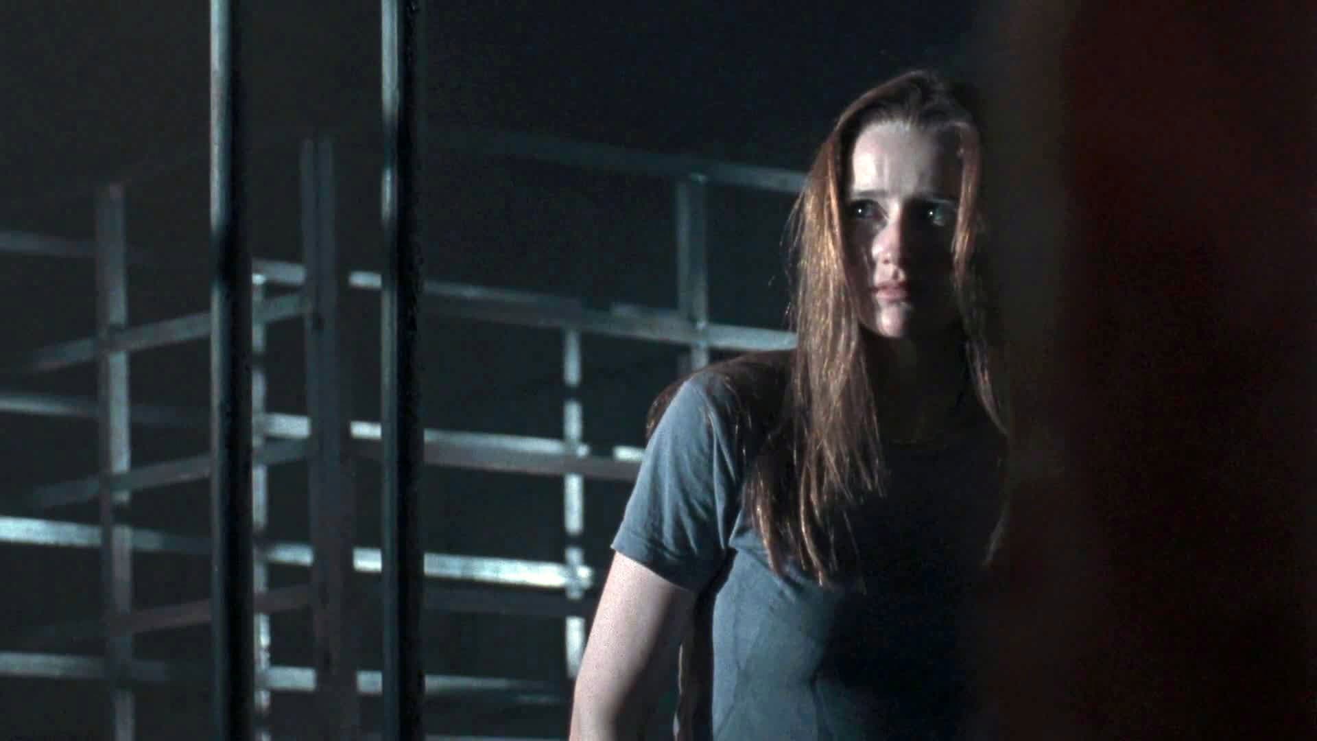 Maxim Knight