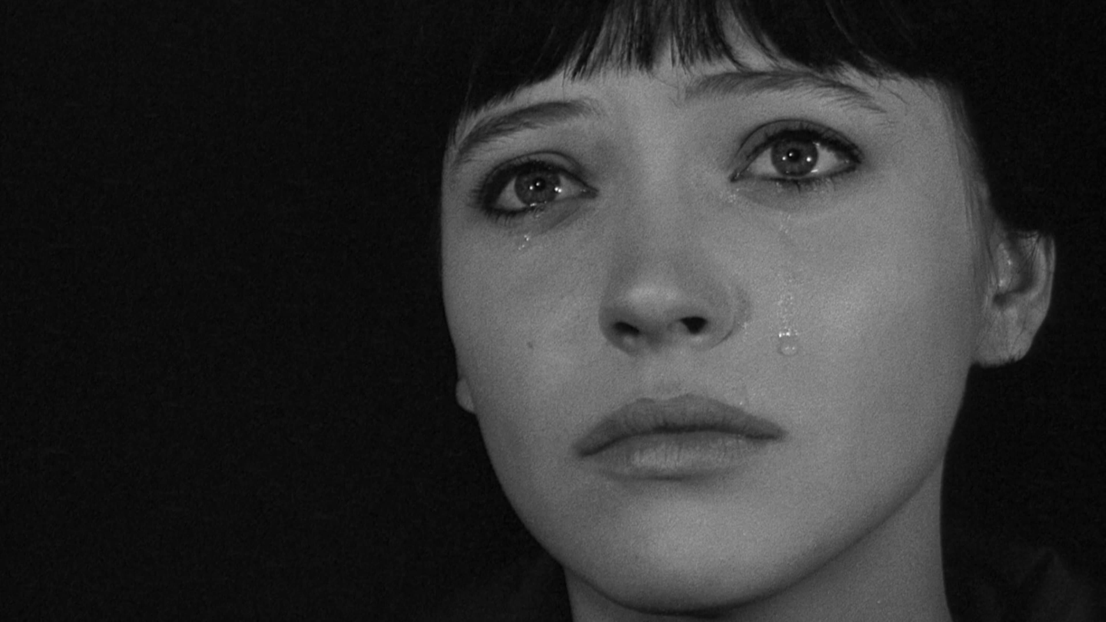 Sady Rebbot