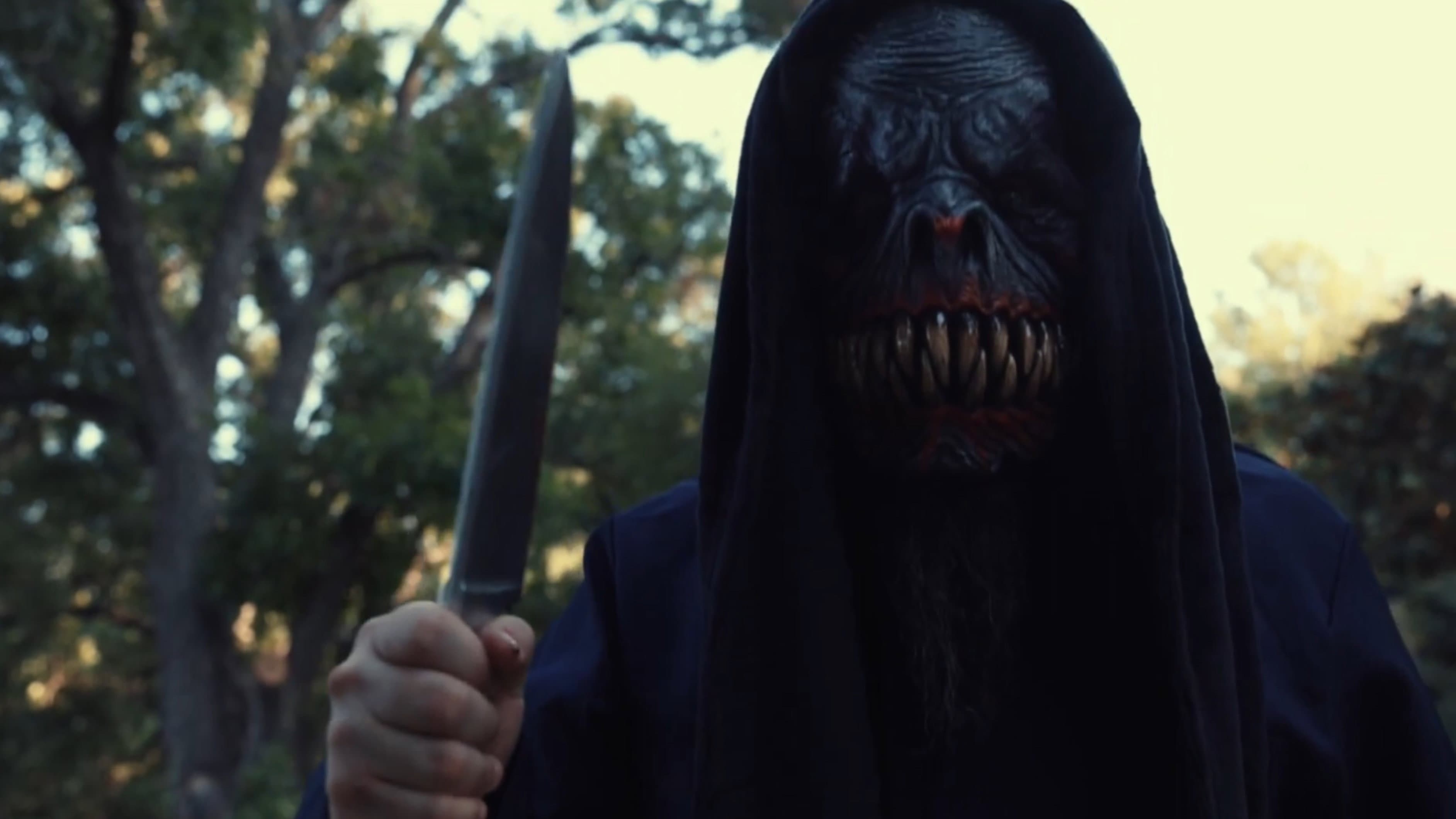 Shawn Ness