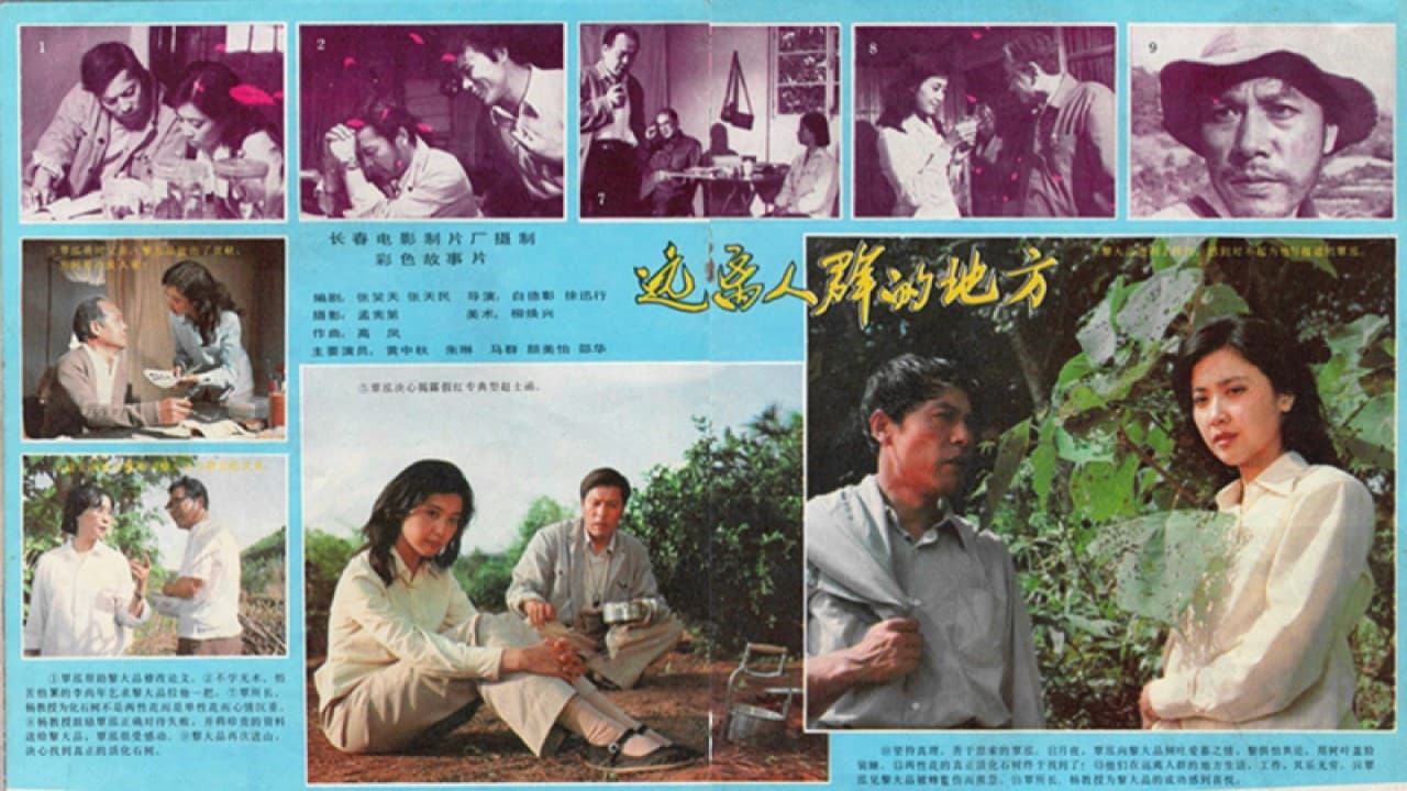 Meiyi Yan