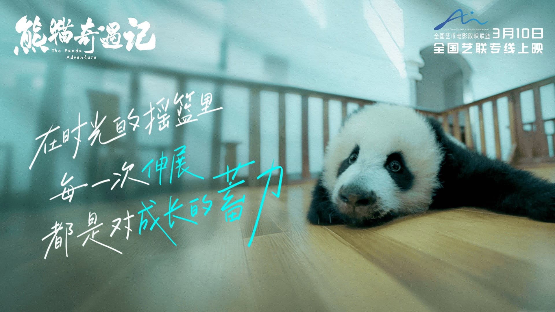 The Panda Adventure