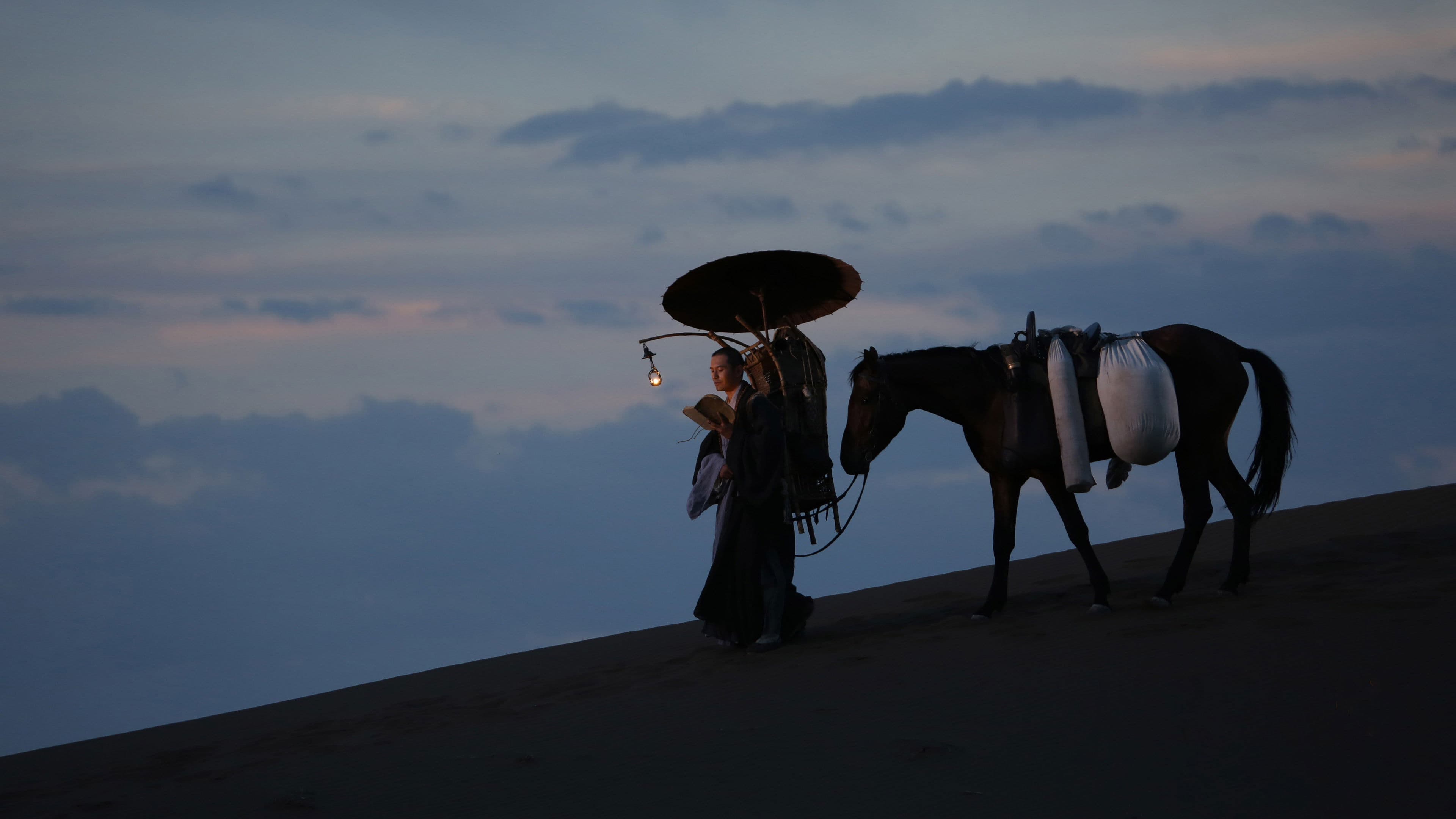 Zhao Liang