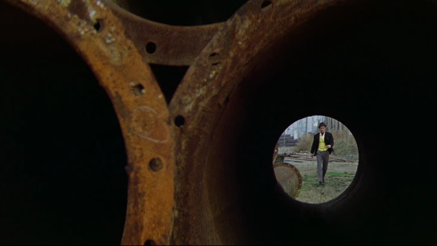 Return of Gun Dog