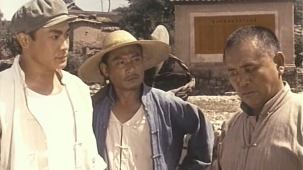 Yan Fei