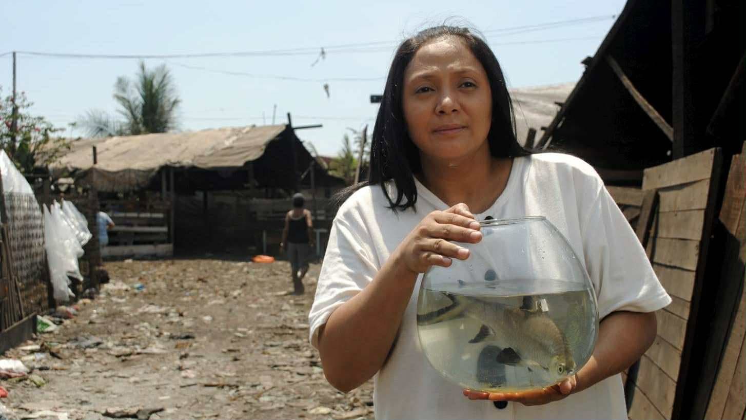 Fable of the Fish