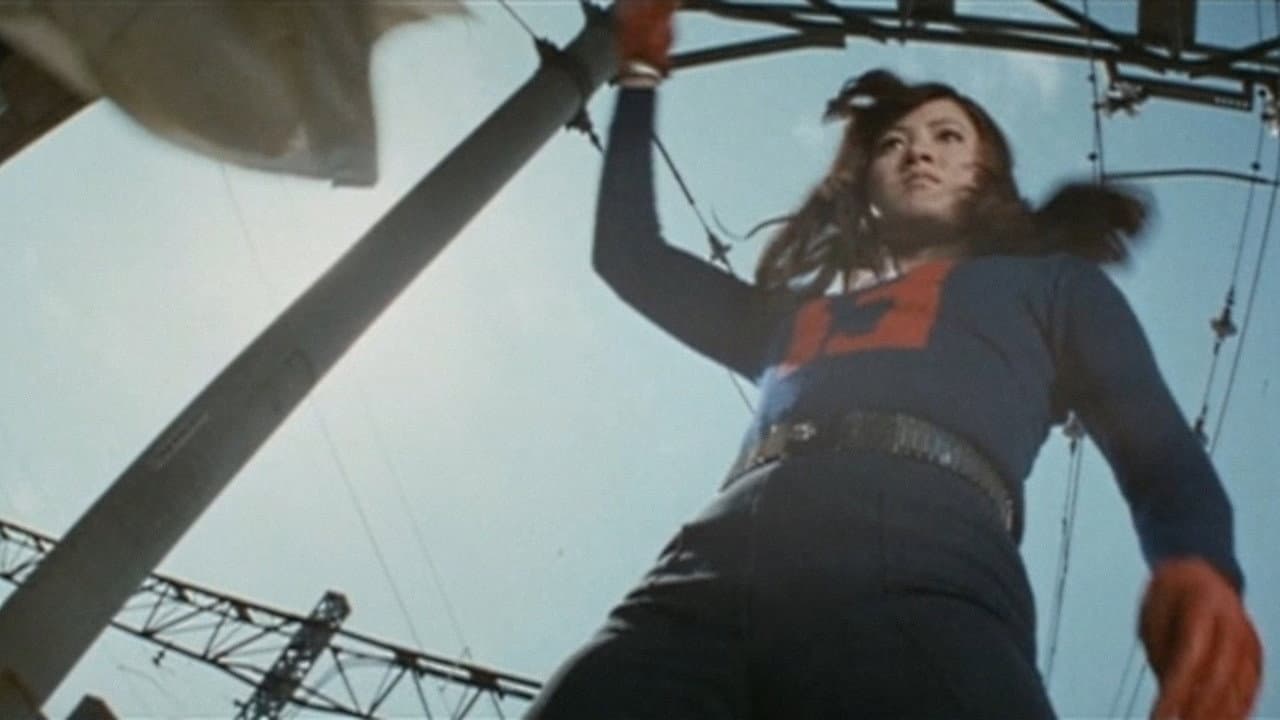 Etsuko Shibata