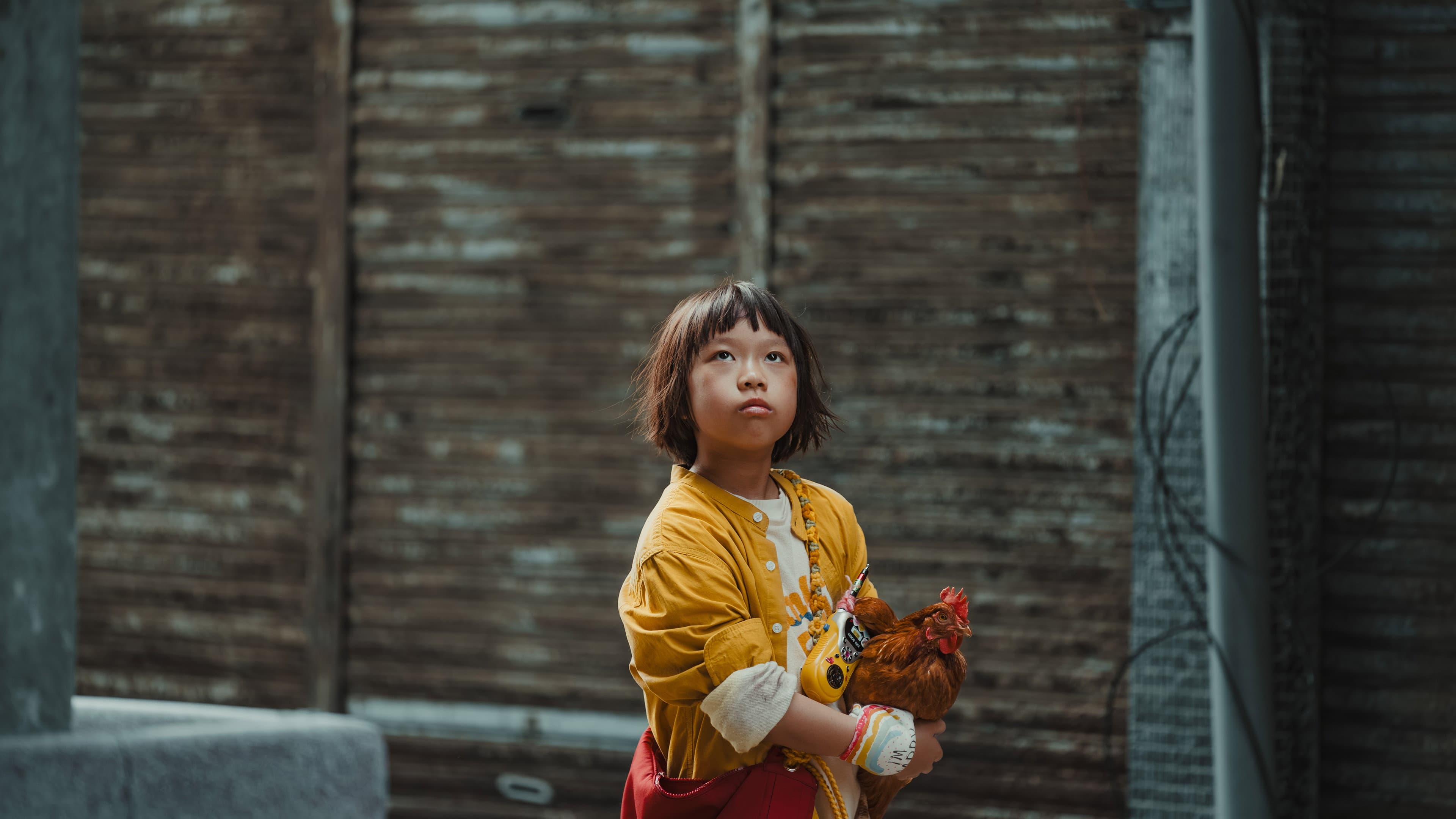 Livion Lee