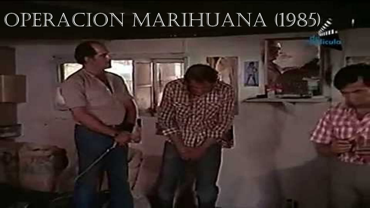 Humberto Luna