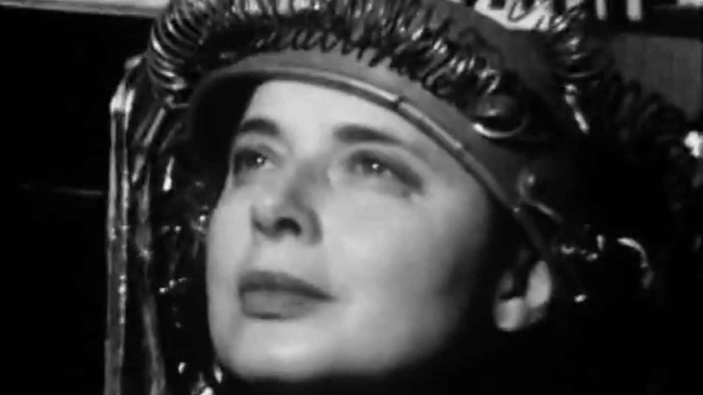 David Evans