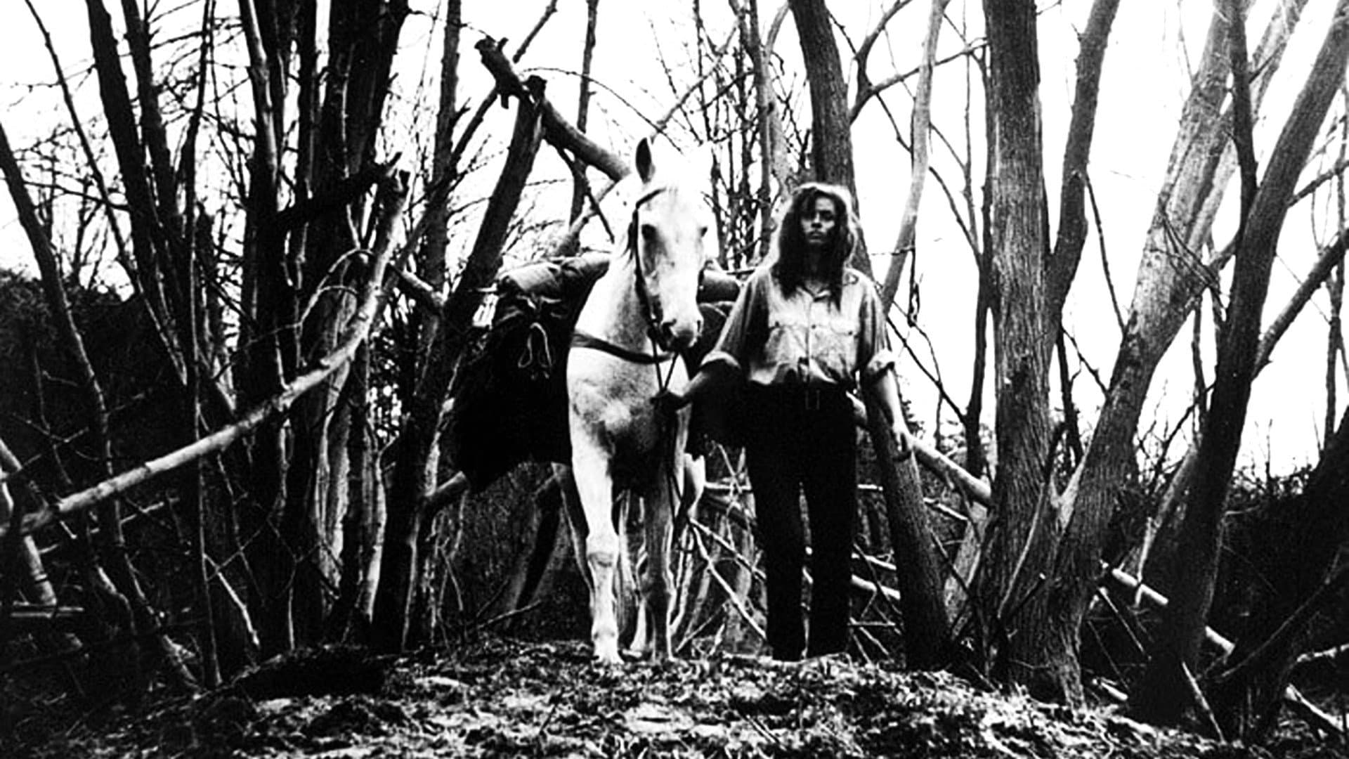 Jana Nováková