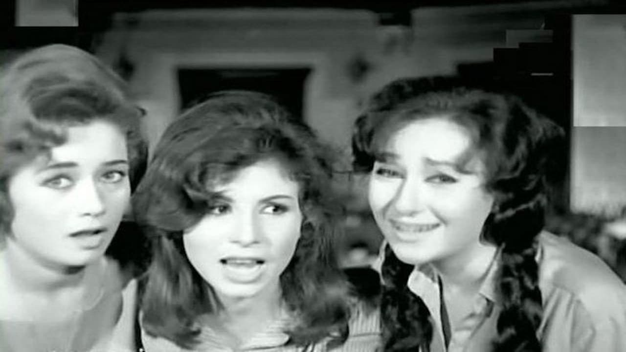 Amr El Torgoman