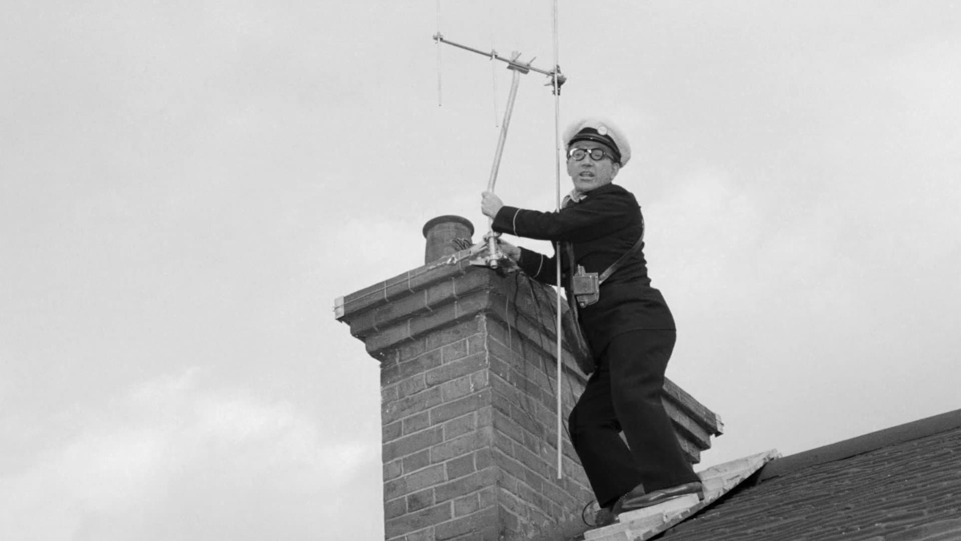 June Whitfield