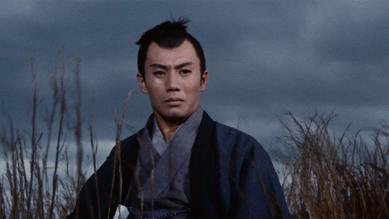 Shingo Hosoya
