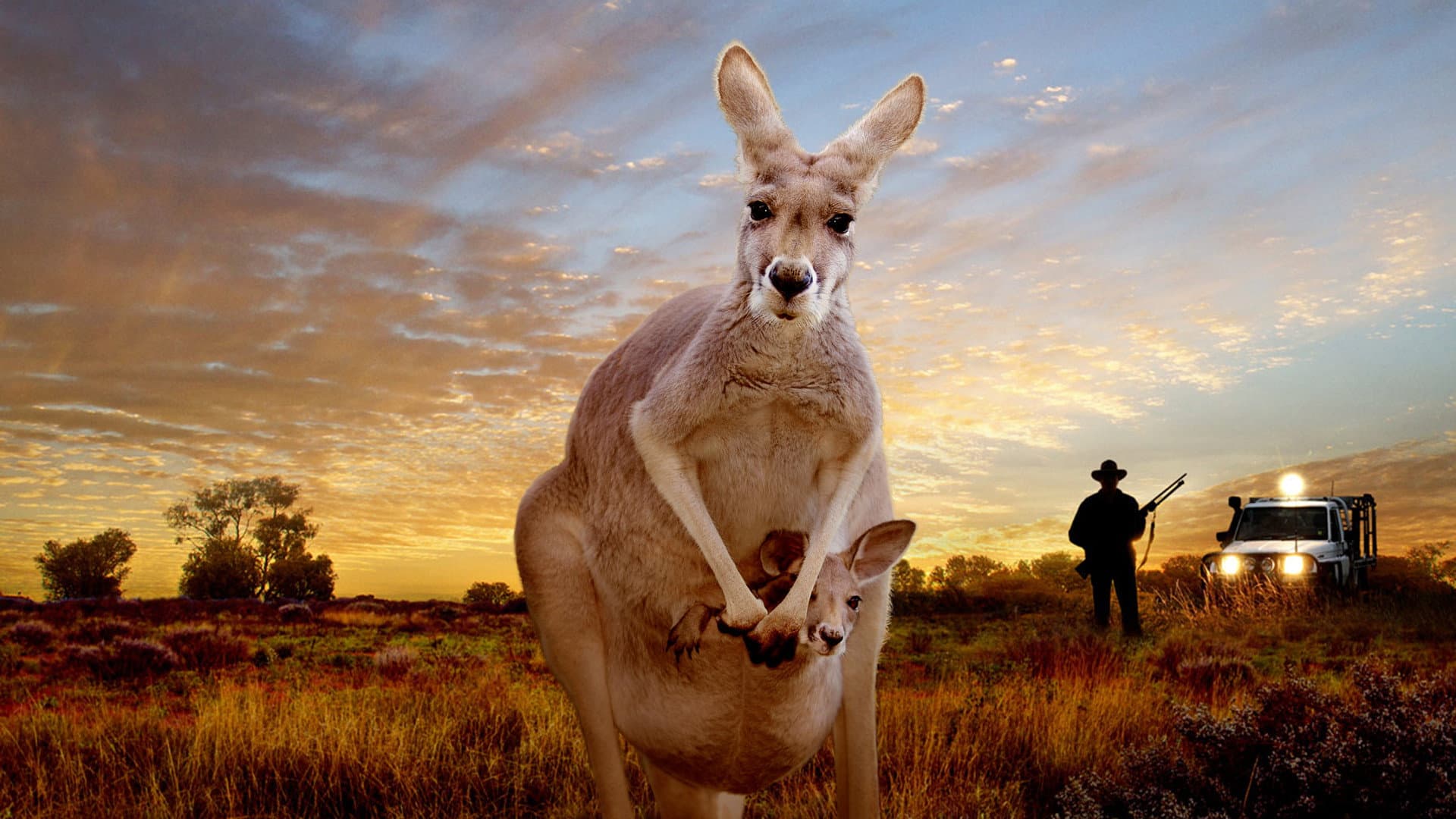 Tim Flannery