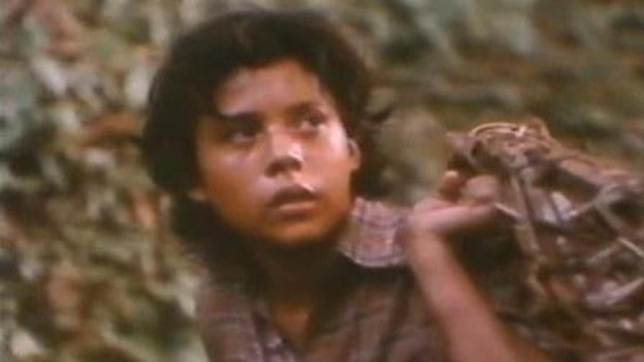 Marcelo Gaete