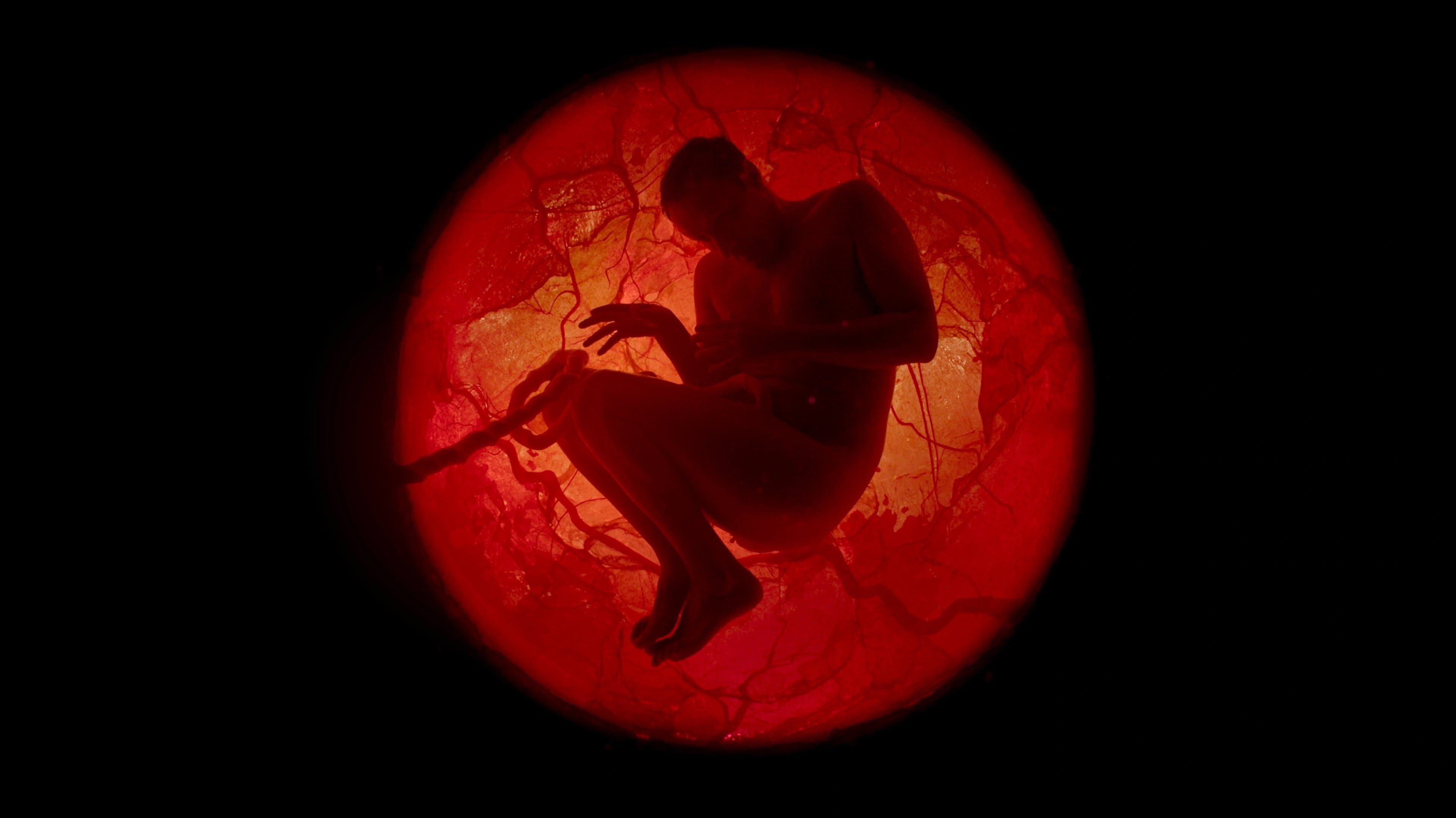 Seb Cardinal