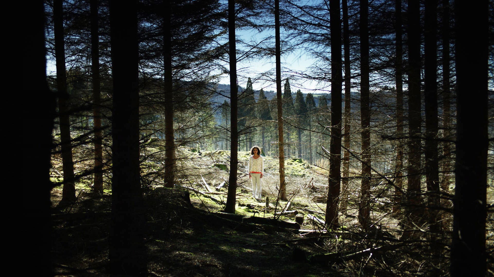 Safinaz Sattar