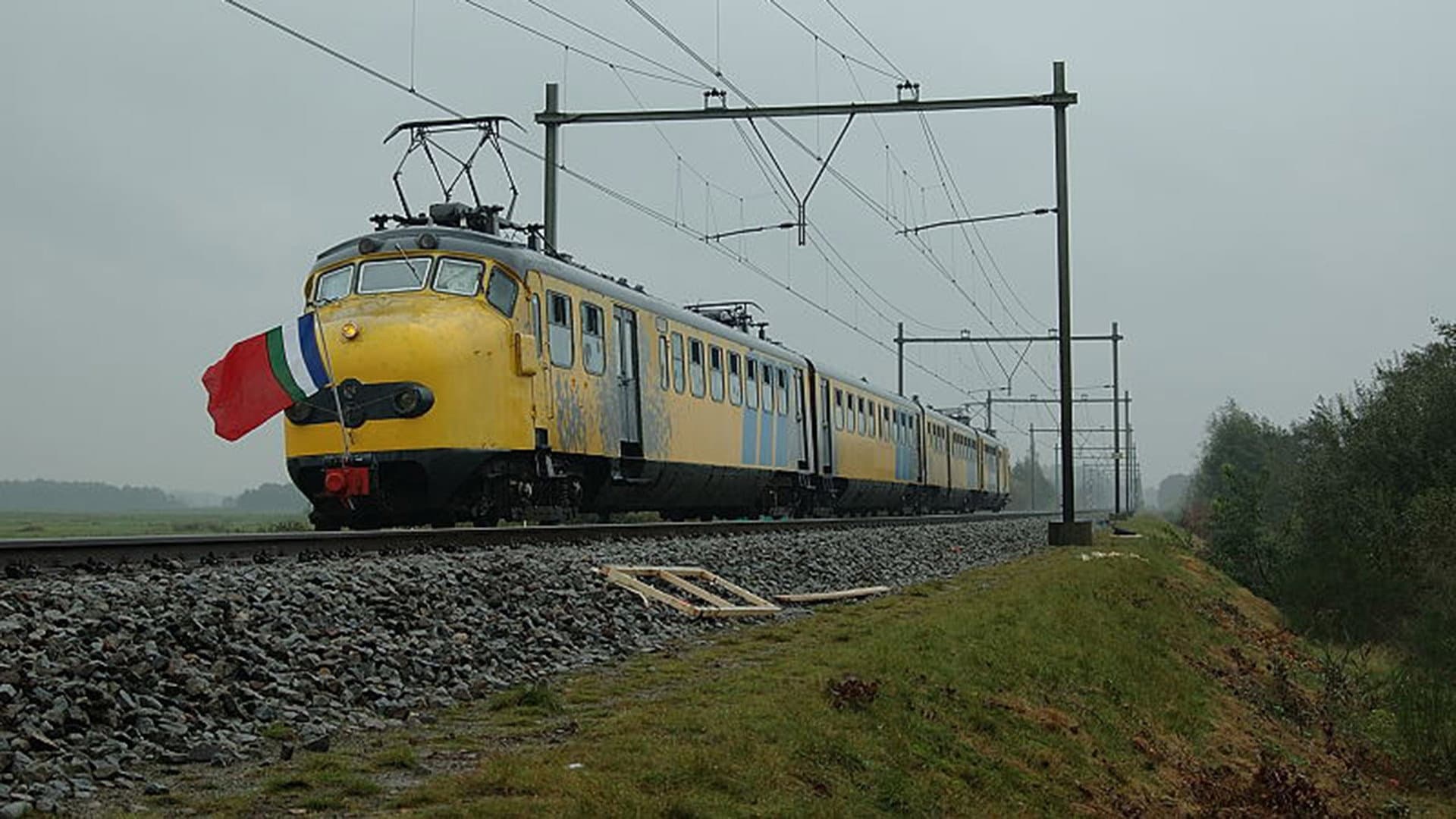 Anis de Jong