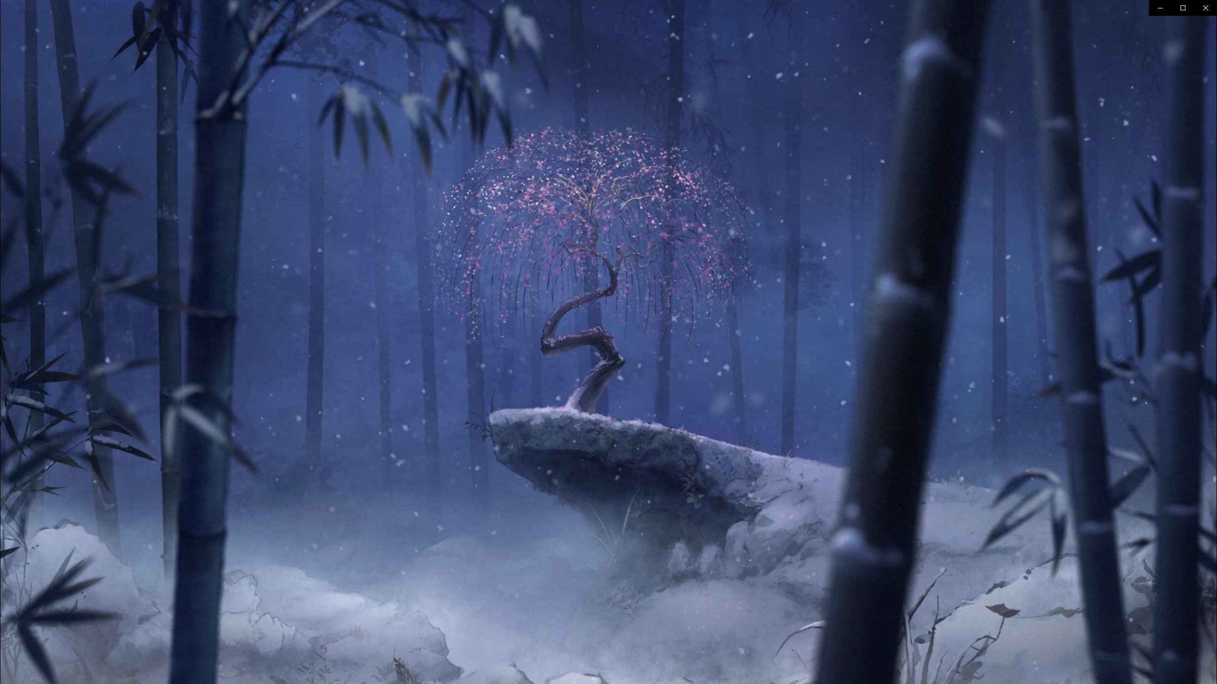 Zi Wang