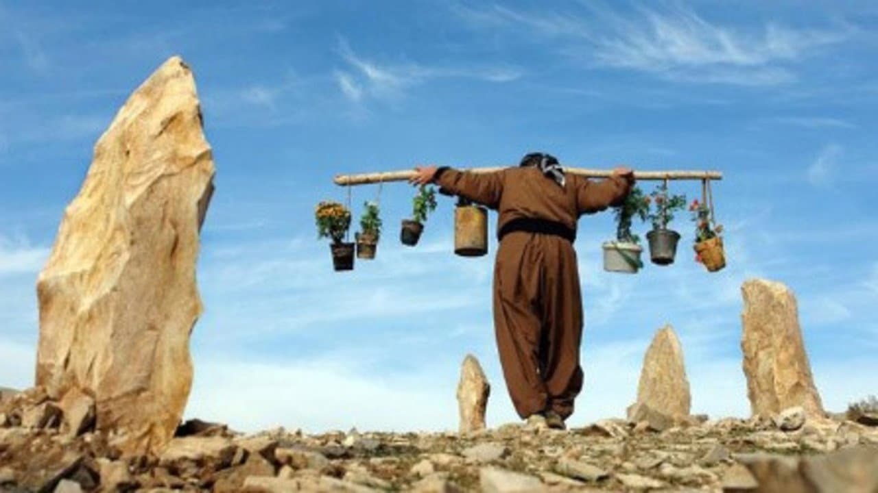 Sawsan Omar