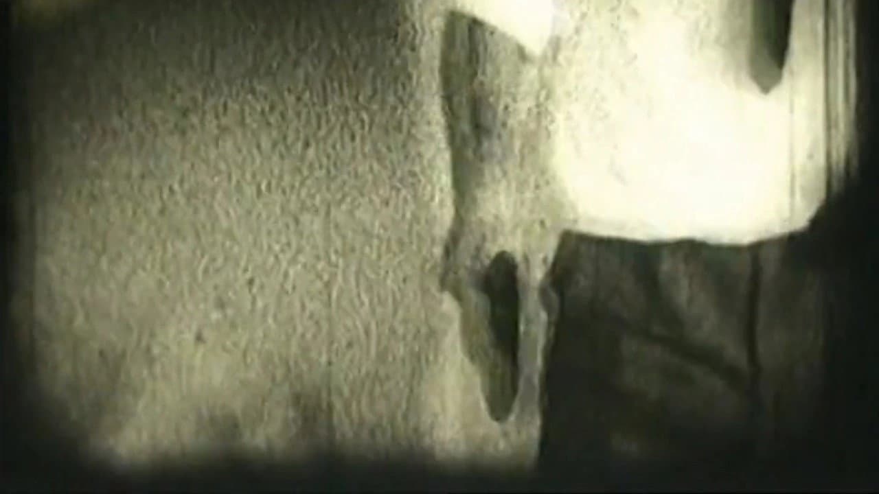 Andrija Pivčević