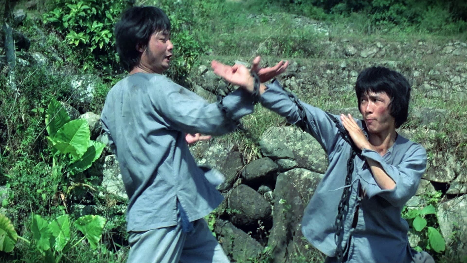 Monkey Kung Fu