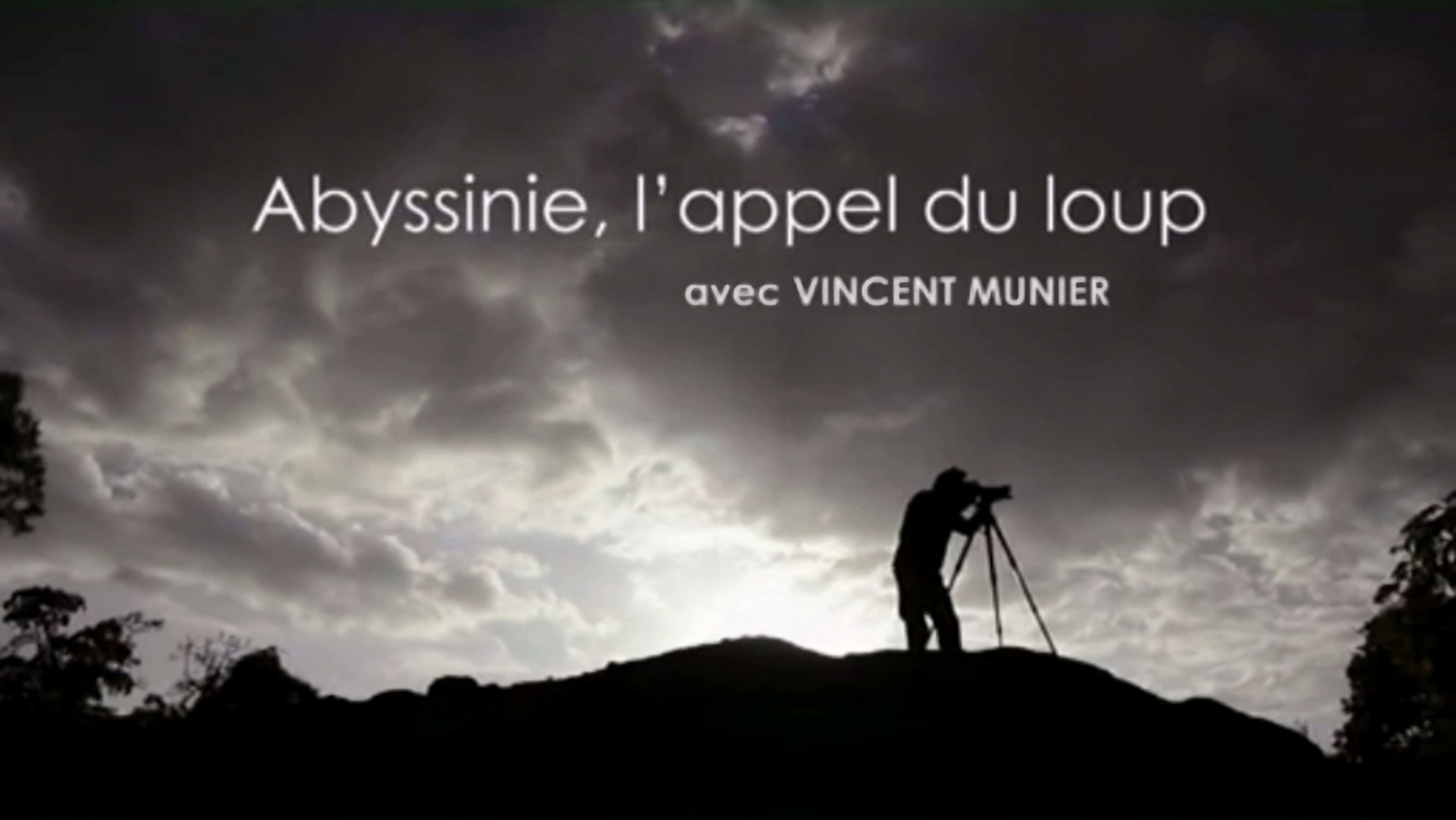 Vincent Munier