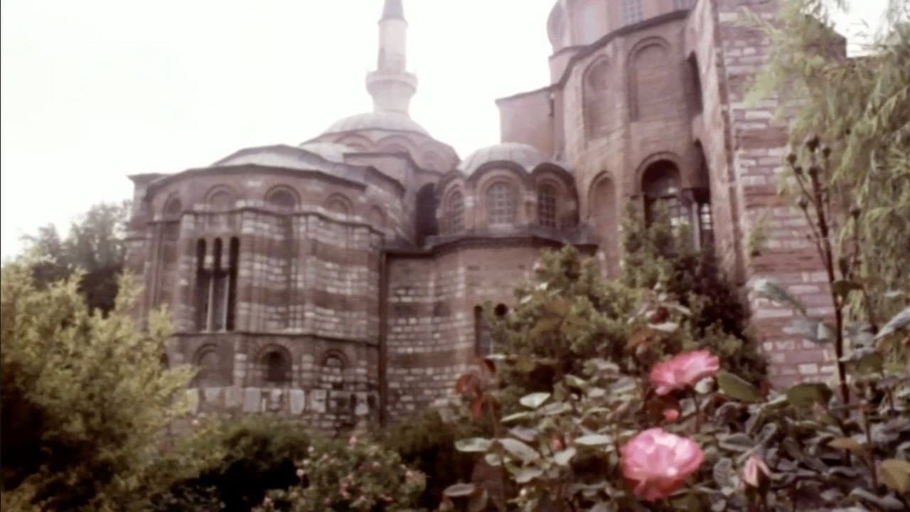 Süreyya Arın