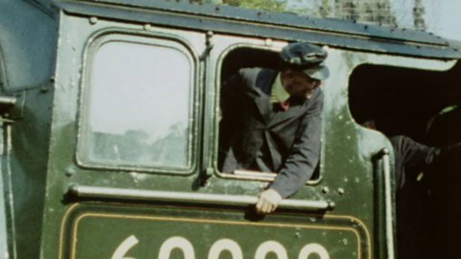 Donny B. Macleod