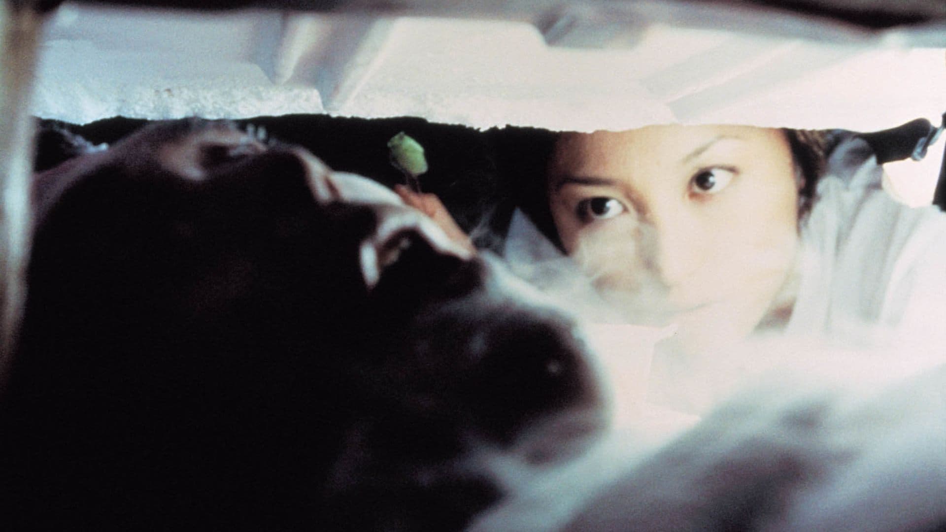 Harumi Inoue