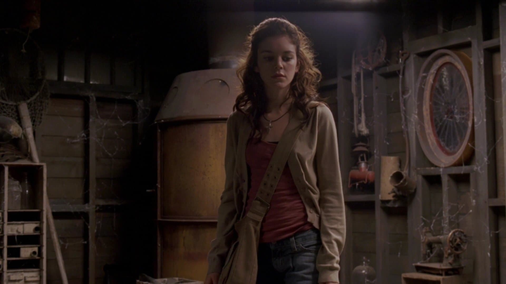 Nora Zehetner