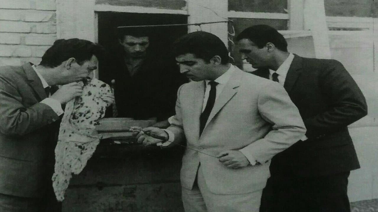 Manouchehr Tayefeh
