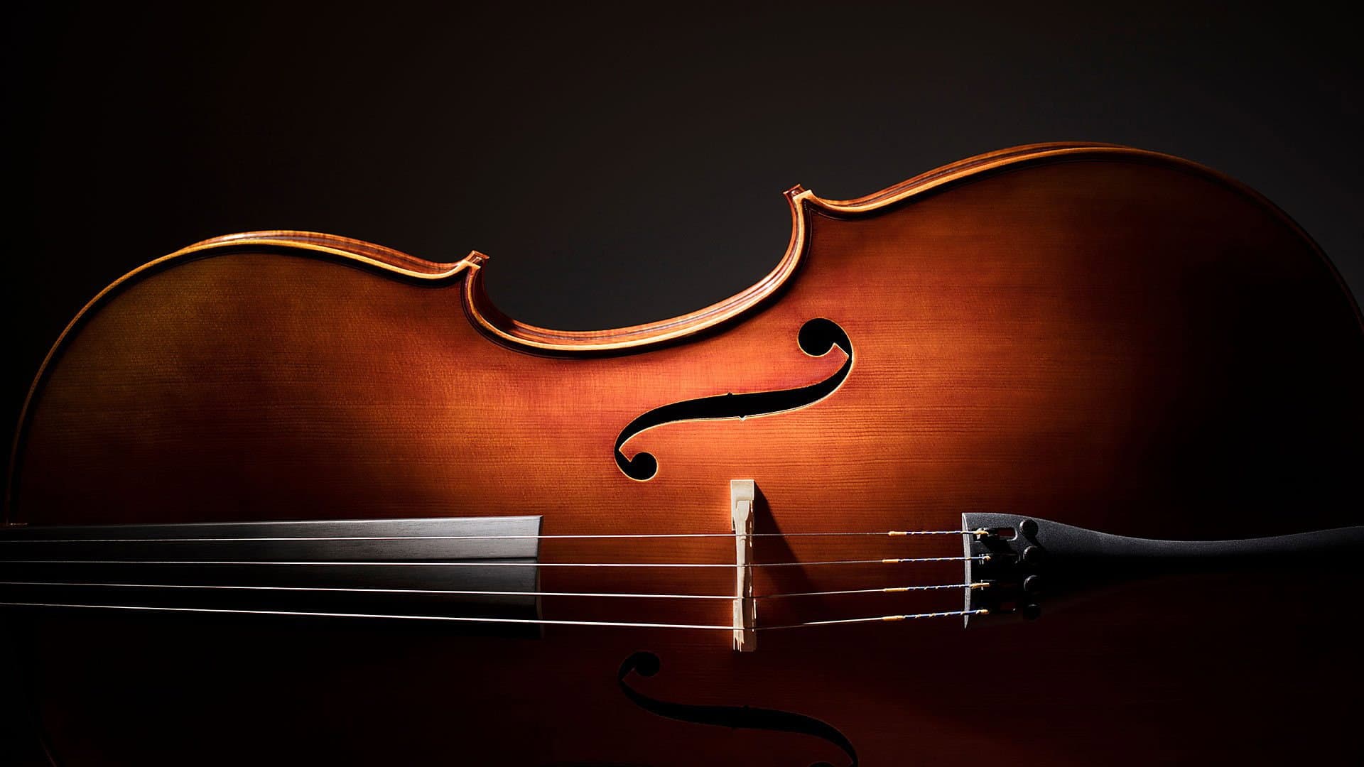Julian Lloyd Webber