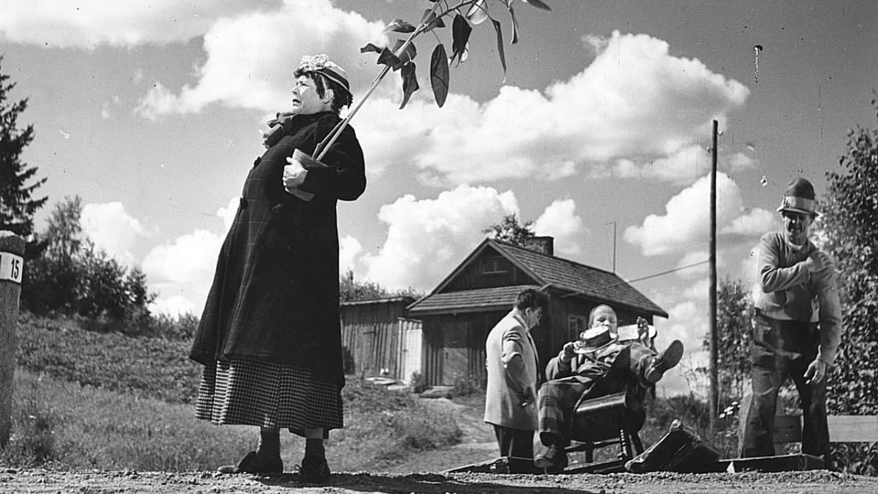 Helvi Järveläinen
